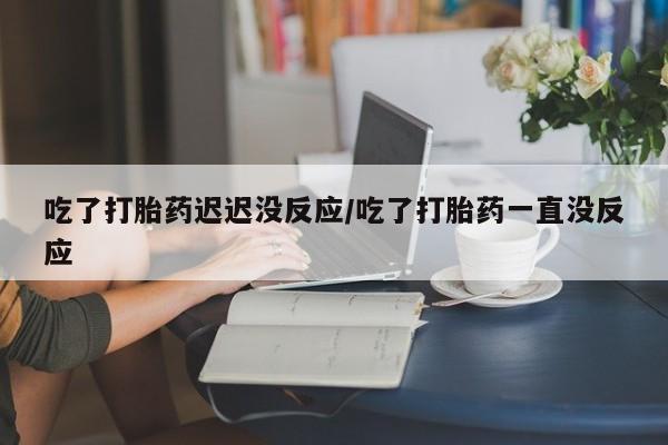 网上米非司酮片米索前列醇在线下单购买吃了打胎药迟迟没反应/吃了打胎药一直没反应