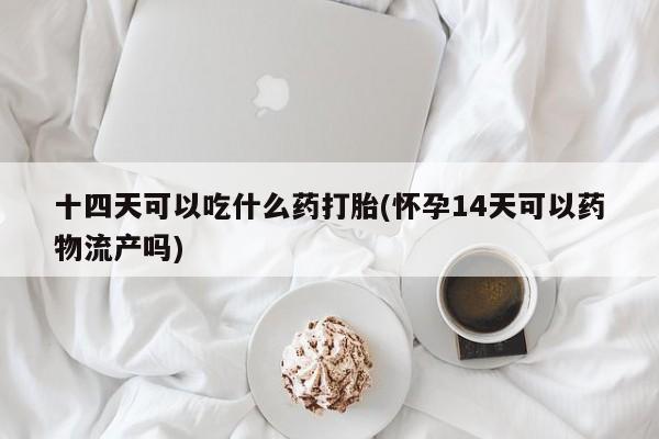 网上米非司酮片米索前列醇在线下单购买十四天可以吃什么药打胎(怀孕14天可以药物流产吗)